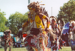 [Photo 2: Dancers in their traditional fancy.]