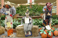 [Photo 1: A scarecrow, a B-52 pilot, 'scraf face' and many pumpkins at his feet]