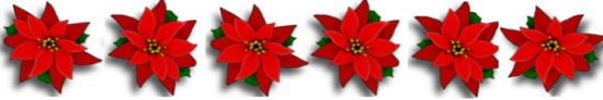 [Photo 2: Poinsettias - Traditional holiday flower]