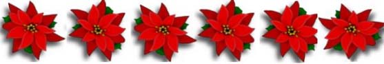[Photo 2: Poinsettias - Traditional holiday flower]