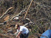 [Photo 13: A parent of one of the scouts cutting trees]