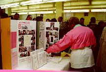 Photo of Language Services Unit table top display