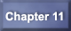 Chapter 11