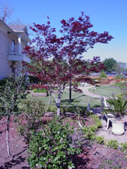 Photo 4: Montclair Park Exterior View