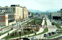 [Photo 2: A newly built home for Tracy Elkins]