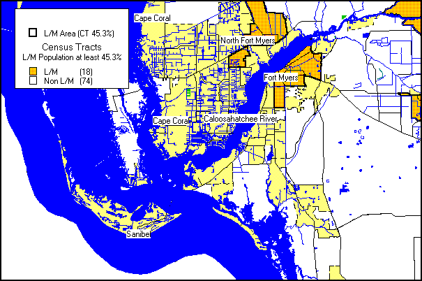 Lee County Consolidated Plan Executive Summary