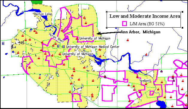 Ann Arbor Consolidated Plan for 1995 Executive Summary