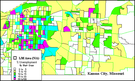 Kansas City Consolidated Plan for 1995 Executive Summary